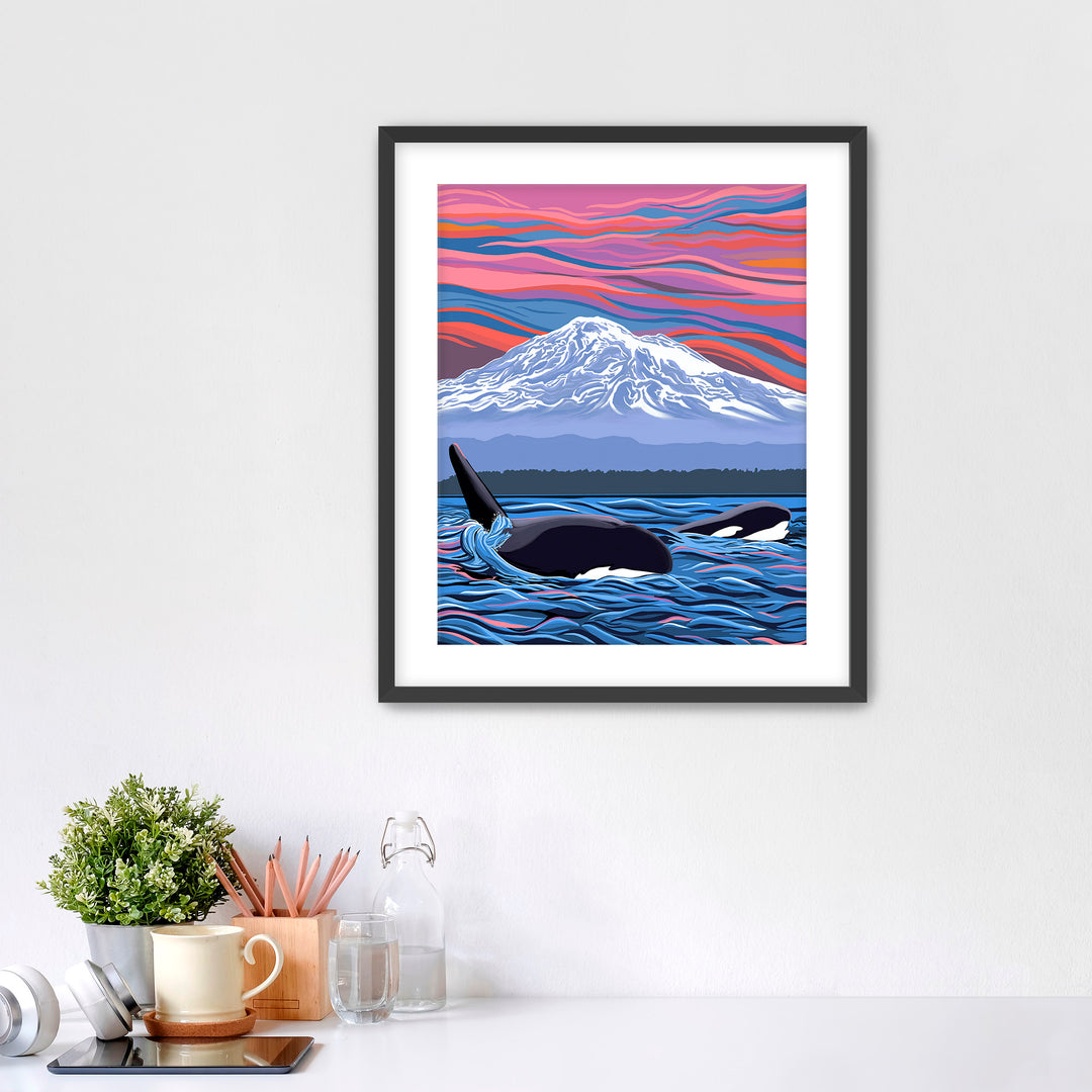 Momma Orca and calf with Mount Rainier in the background.
