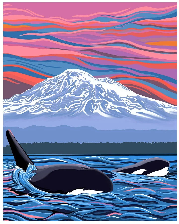 The Orca Collection