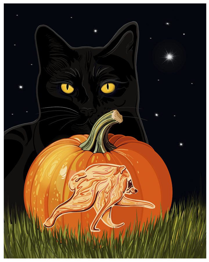 Jimothy-O’-Lantern Raccoon Halloween Art Print | Linda Sholberg