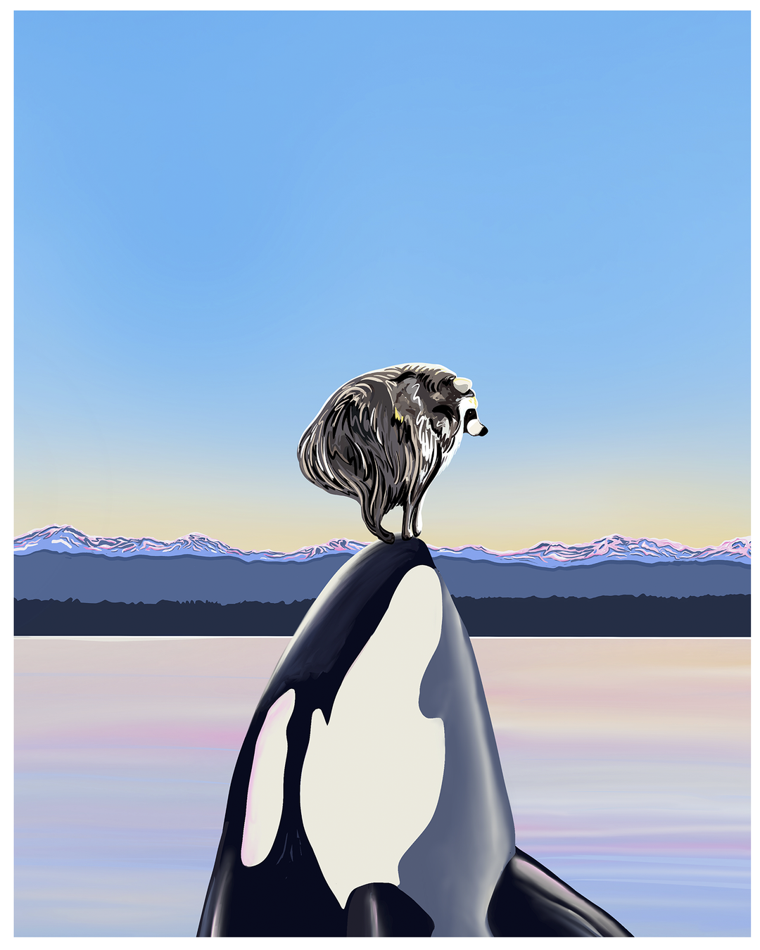 Whale Hello, Jimothy! – Jimothy Raccoon & Orca Art Print - Pacific Northwest fine art print by Linda Sholberg