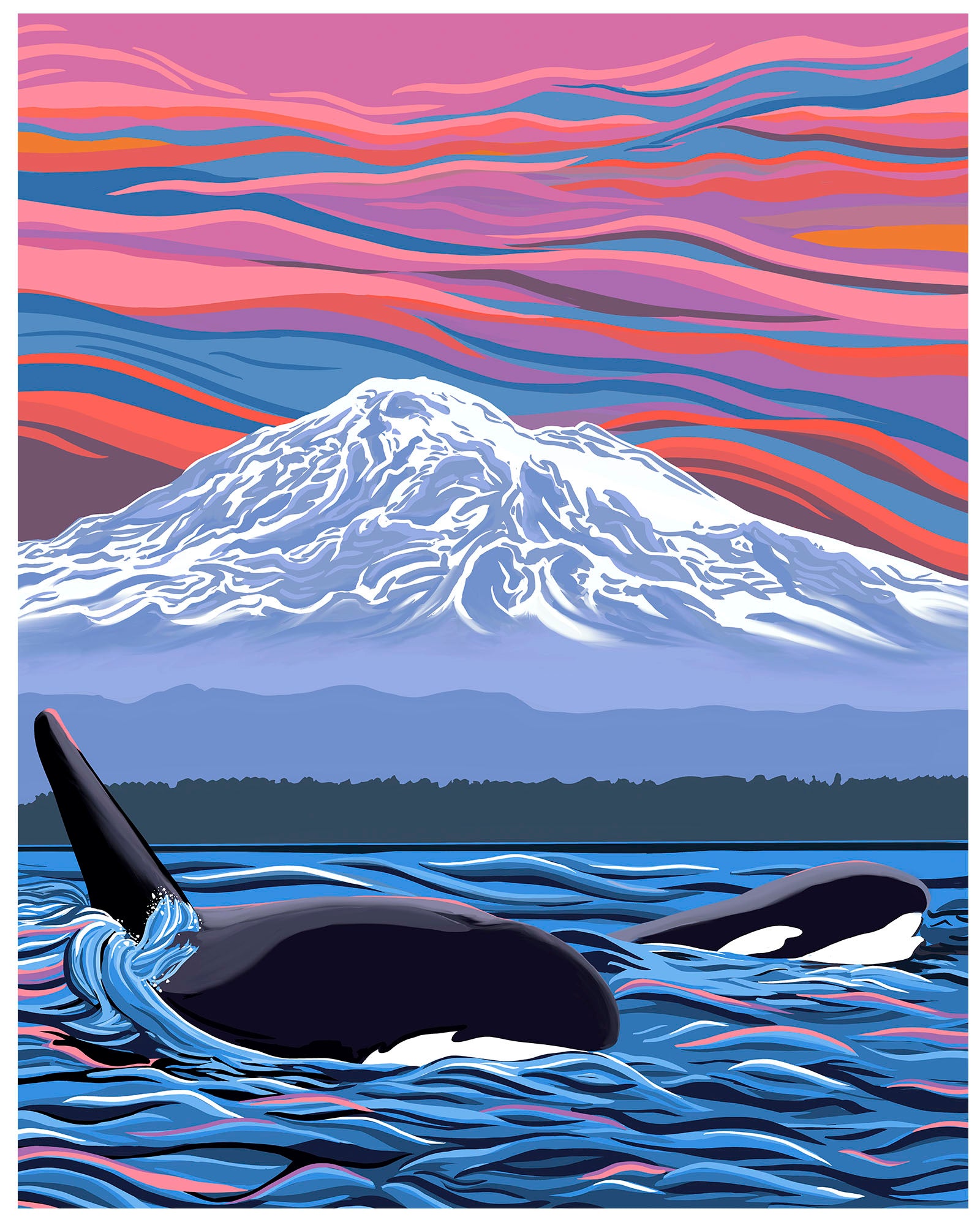 Orca Ballet Slipper Art Print - Pacific Northwest Whale Wall Art