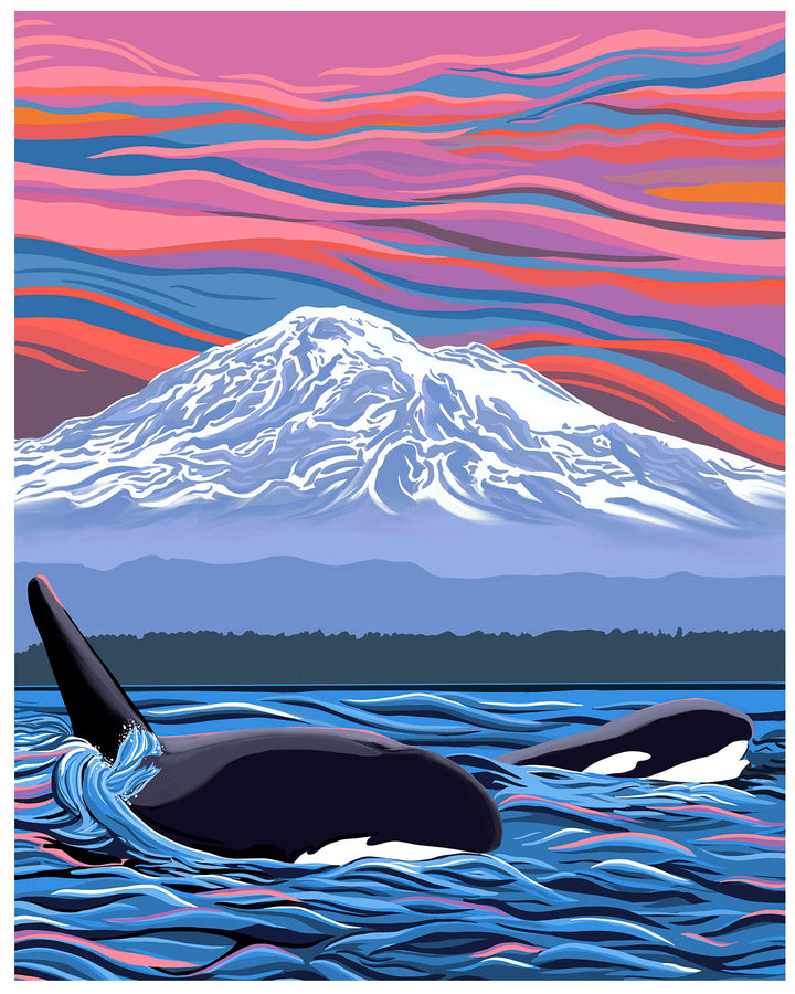 Orca "Ballet Slipper" – Pacific Northwest Wall Art Print